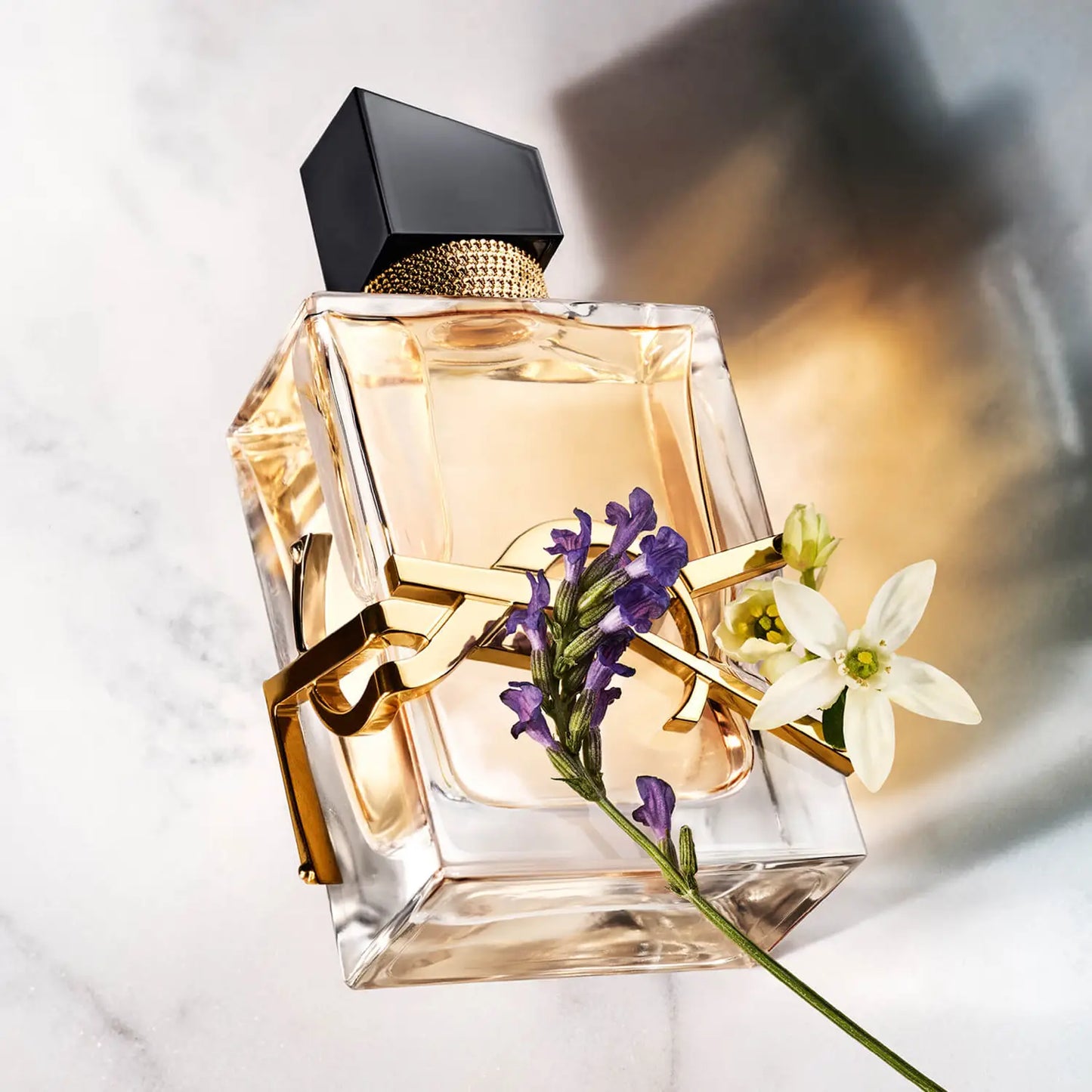 YVES SAINT LAURENT | LIBRE EAU DE PARFUM