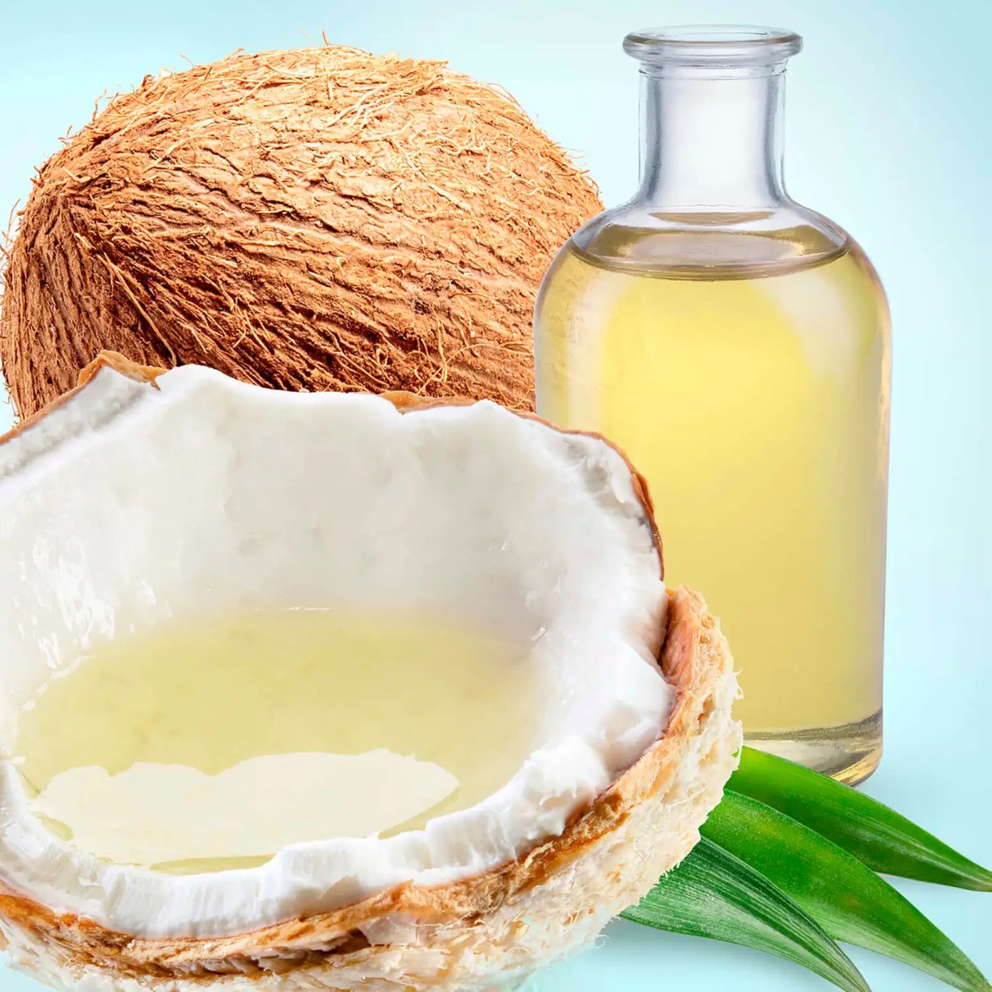 Maui Moisture | Curl Quench + Coconut Oil Shampoo