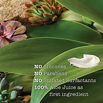 Maui Moisture | Daily Hydration + Hibiscus Water Shampoo