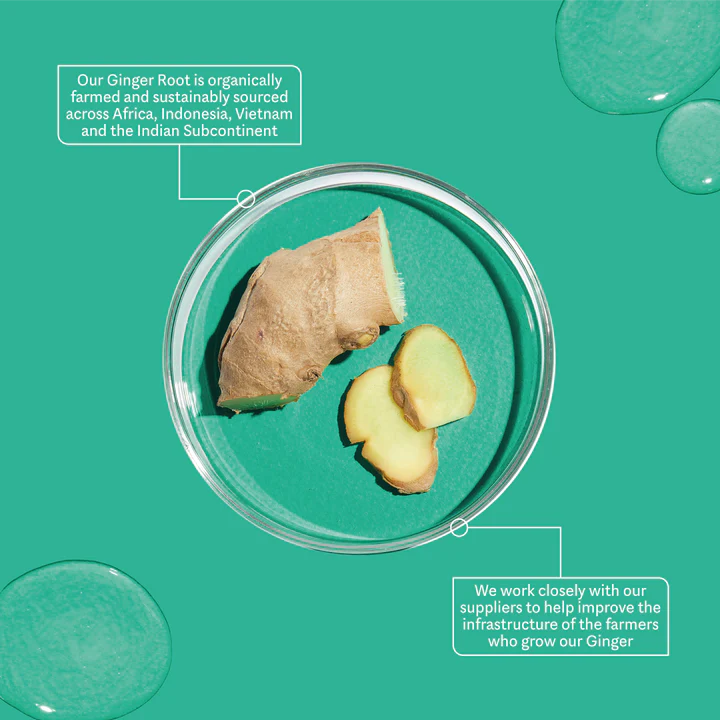 THE INKEY LIST | PEPTIDE Q10 & GINGER DAILY DEFENSE ANTIOXIDANT SERUM
