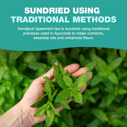 HANDPICK | SPEARMINT TEA BAGS (100 COUNT) NON-GMO, 100% PURE SPEARMINT LEAF TEA BAGS CERTIFIED BY TEA BOARD OF INDIA