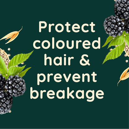 AVEENO | COLOUR PROTECT BLACKBERRY AND QUINOA SCALP SOOTHING SHAMPOO FOR COLOUR TREATED HAIR