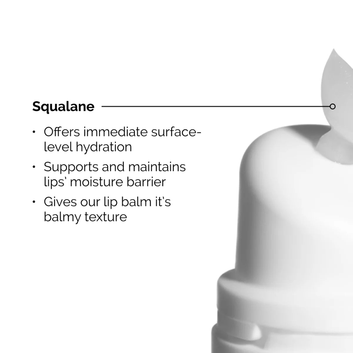 THE ORDINARY | SQUALANE AND AMINO ACIDS LIP BALM