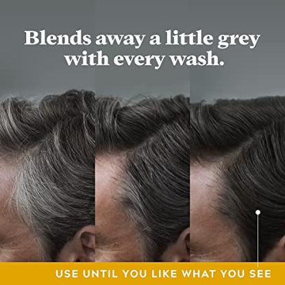 JUST FOR MEN | Control GX, Grey Reducing 2-in-1 Shampoo & Conditioner for Grey Hair